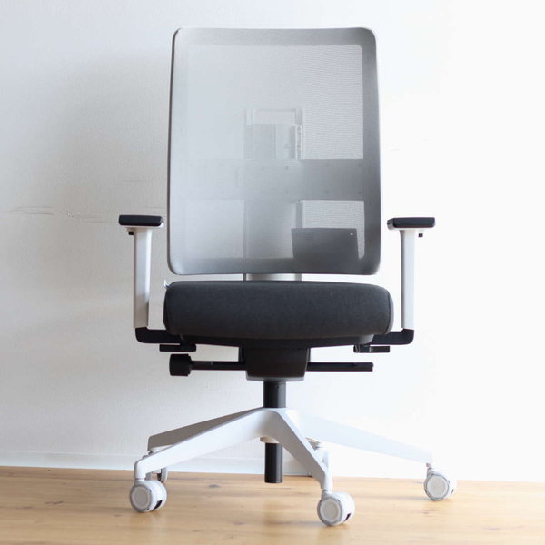 Viasit Toleo, ergonomischer Bürostuhl, drei Ausführungen, 3D-Sitzfunktion, Netzrücken, hellgrau